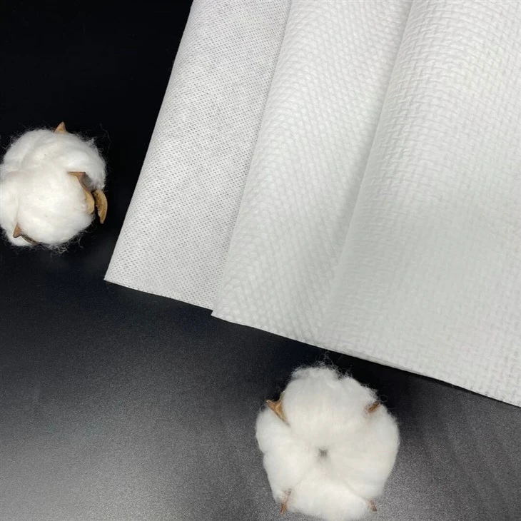 Toilet Paper & Seat Wipes